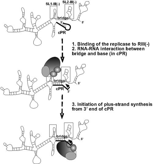 FIG. 6.