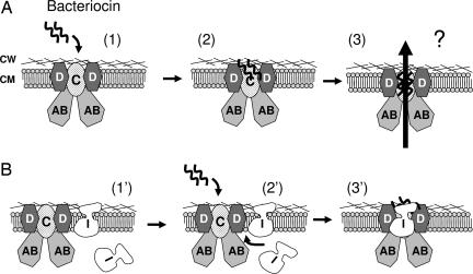 Fig. 5.