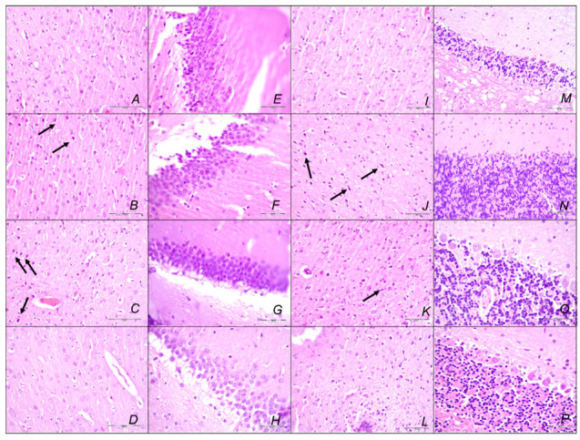 Figure 16