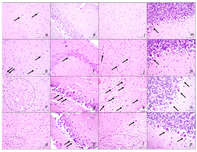 Figure 15