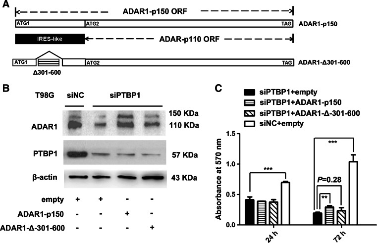 Fig. 7