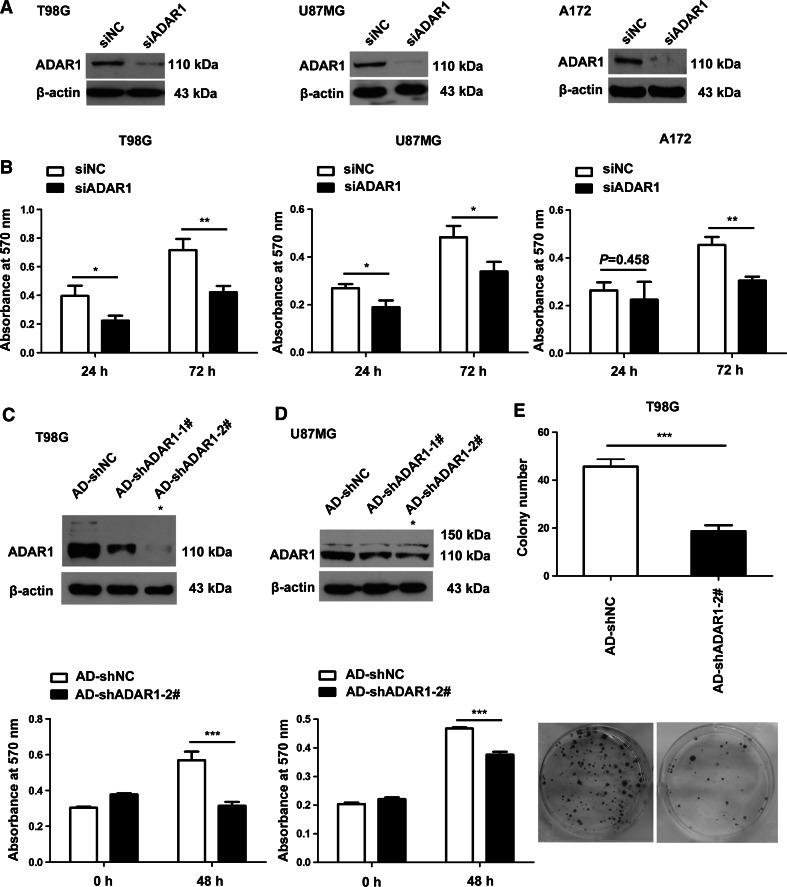 Fig. 6