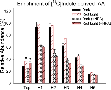 Figure 10.