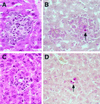 FIG. 6
