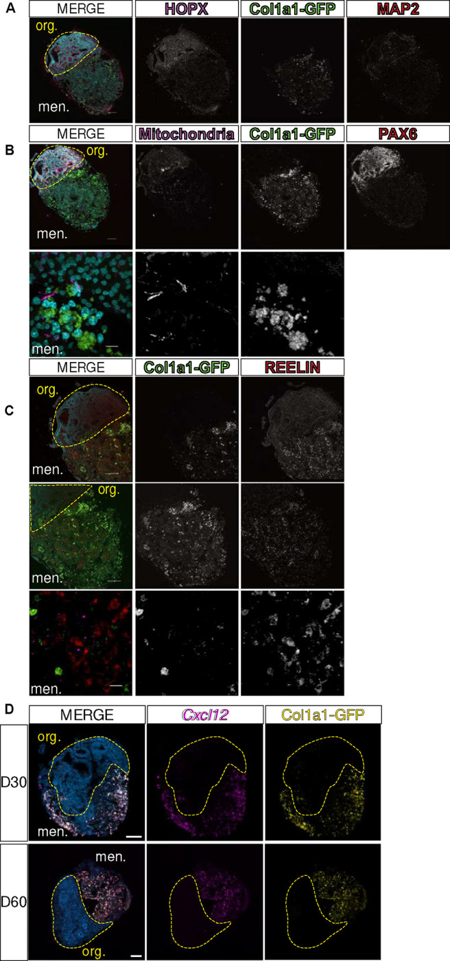 Figure 5: