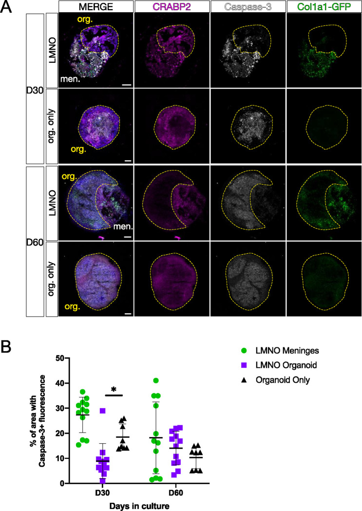 Figure 4: