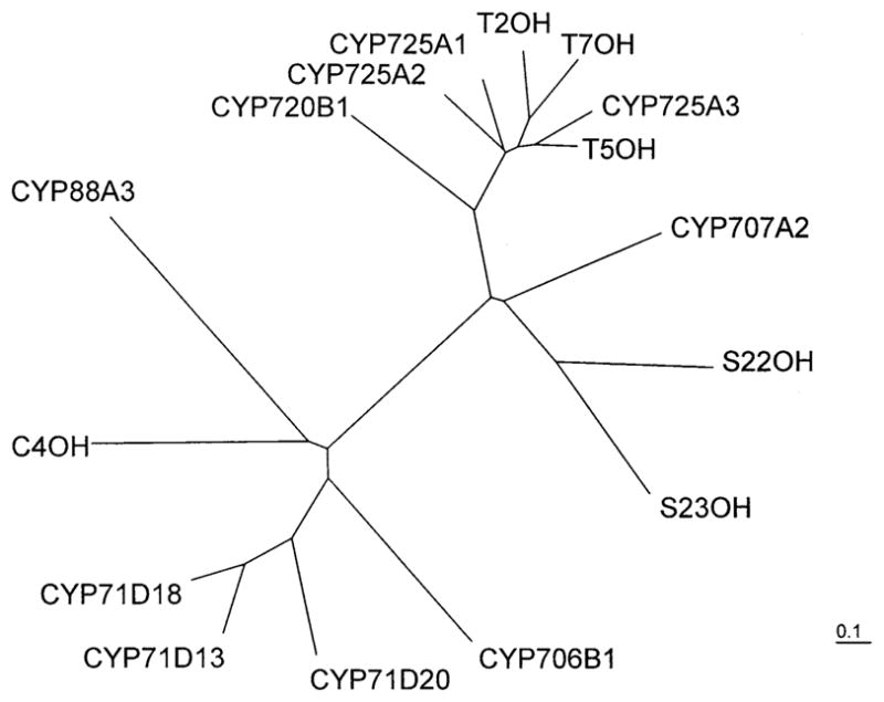 Fig. 4