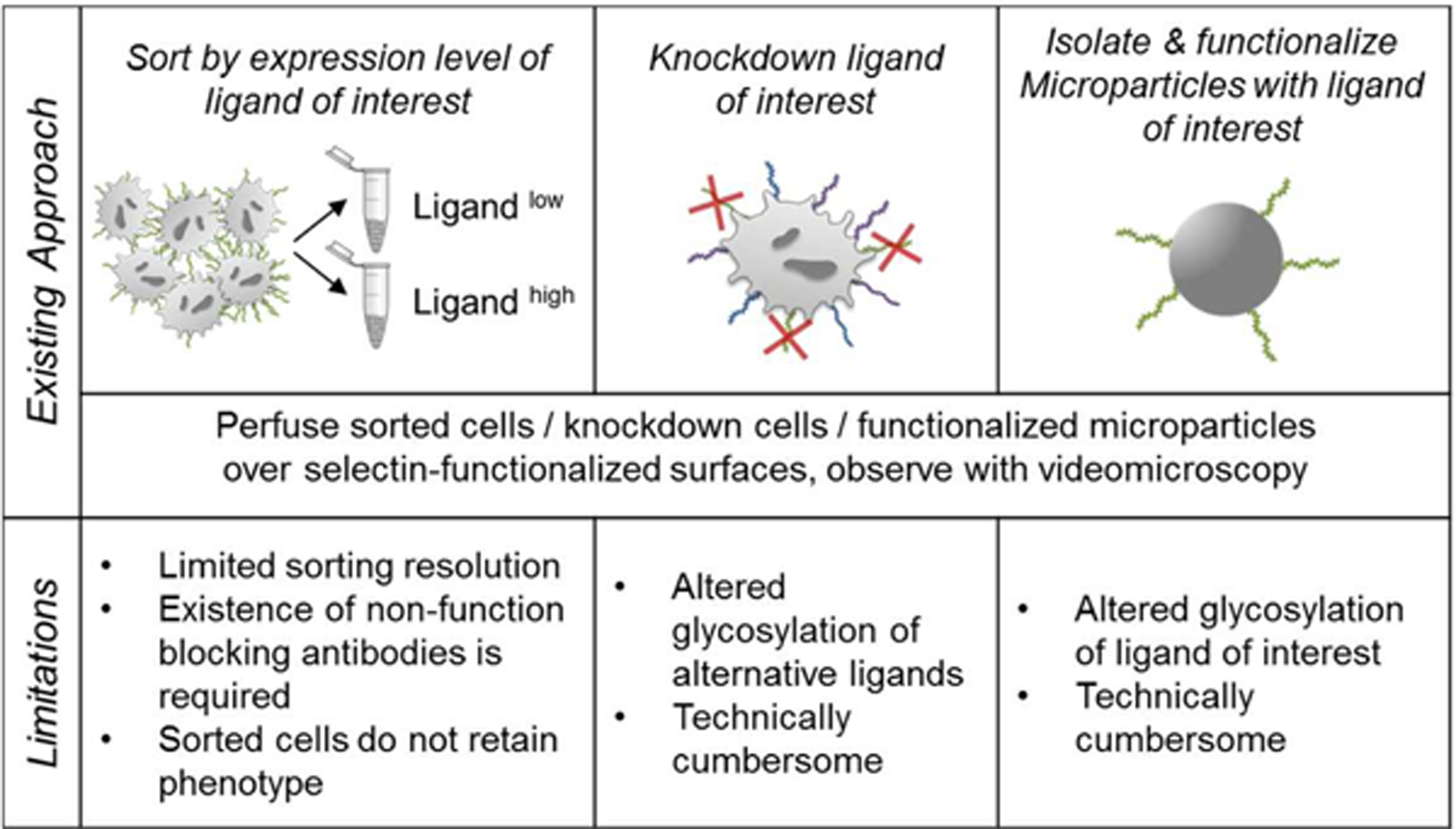 Figure 2)