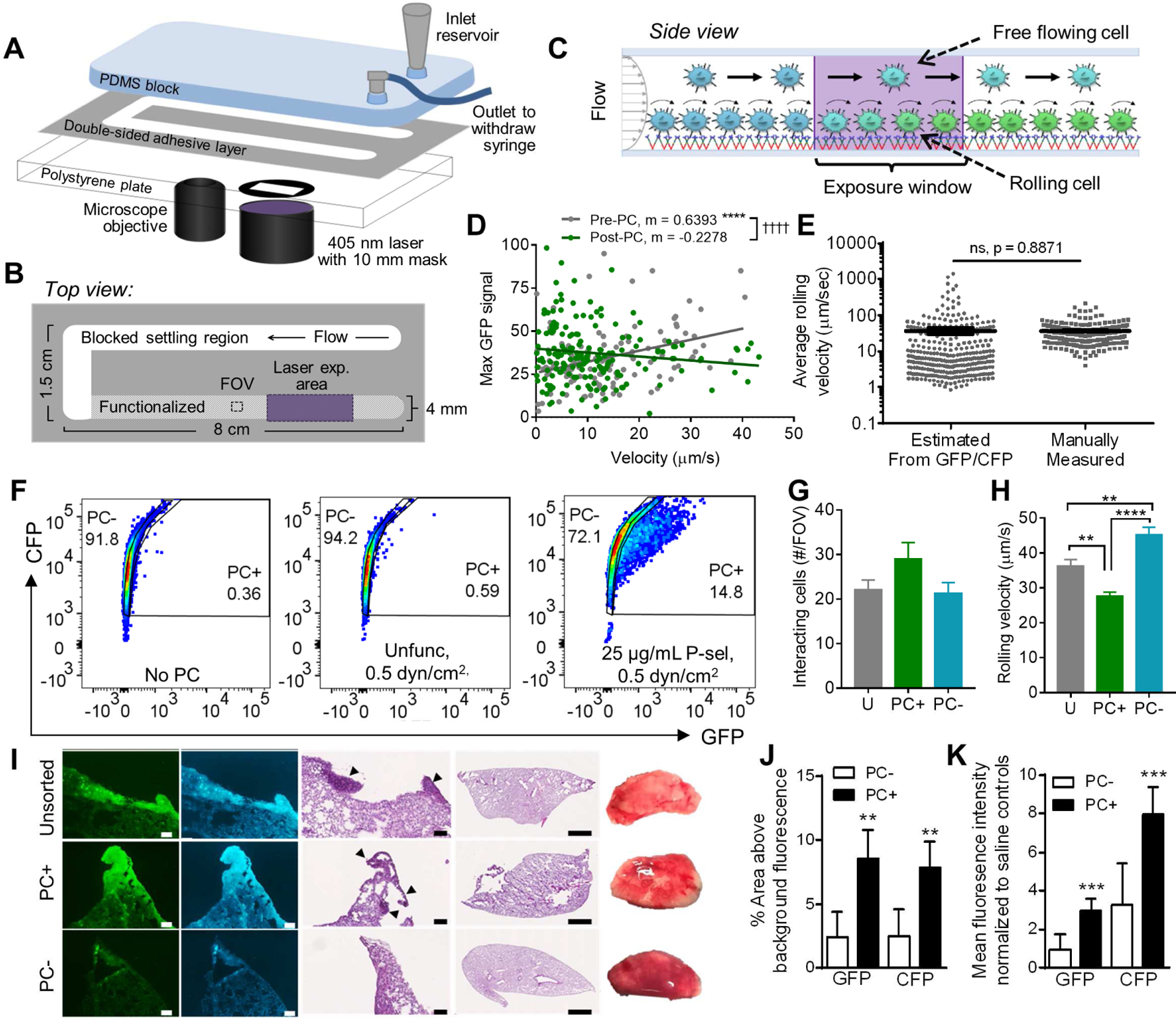 Figure 4)