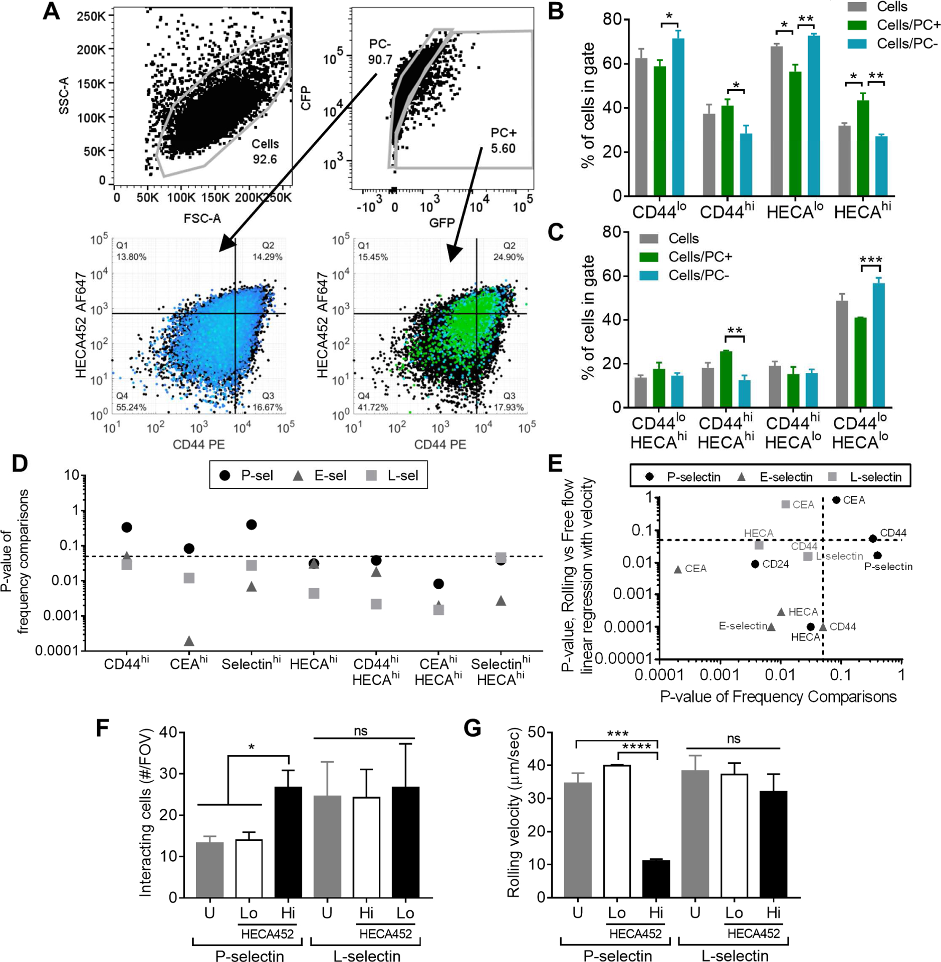 Figure 6)