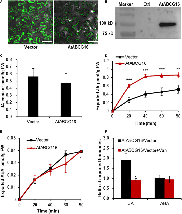 FIGURE 3