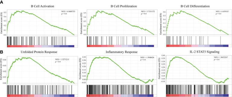 Figure 5