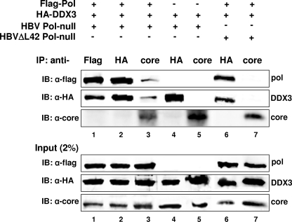 FIG. 8.