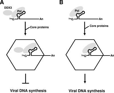 FIG. 9.