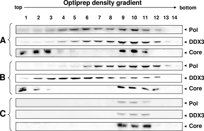 FIG. 6.