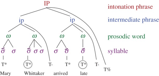 Figure 1.