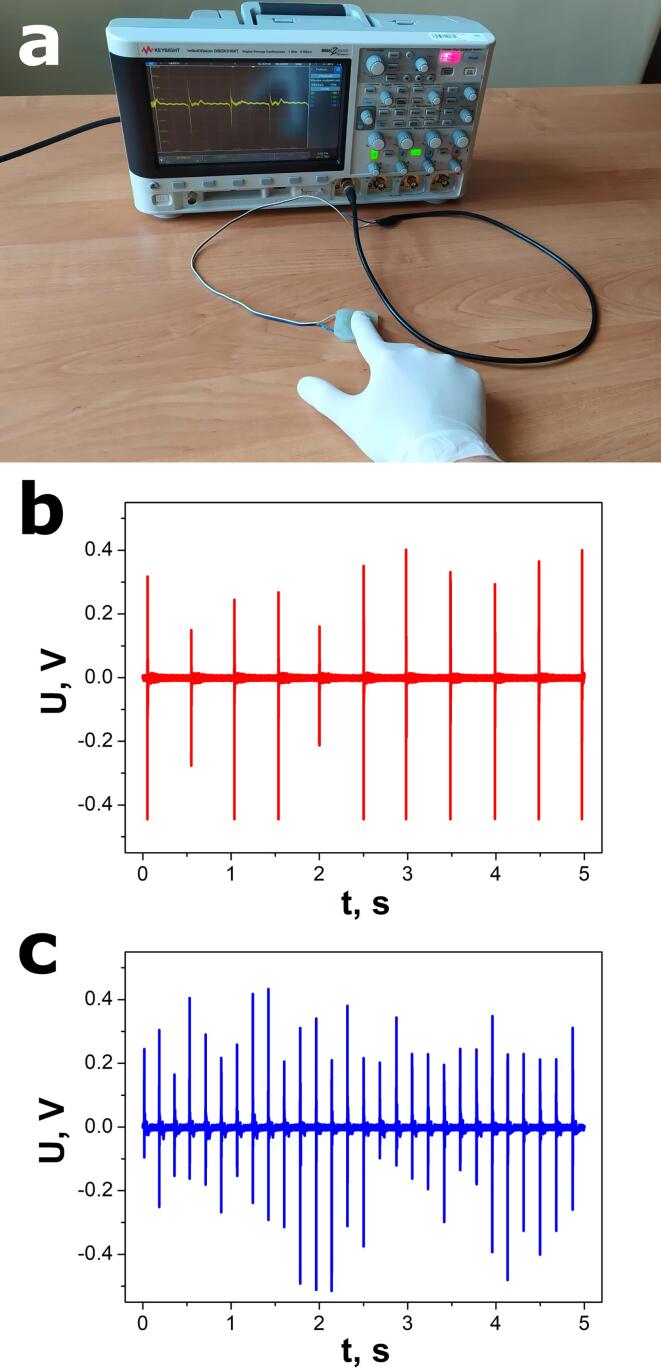 Fig. 10