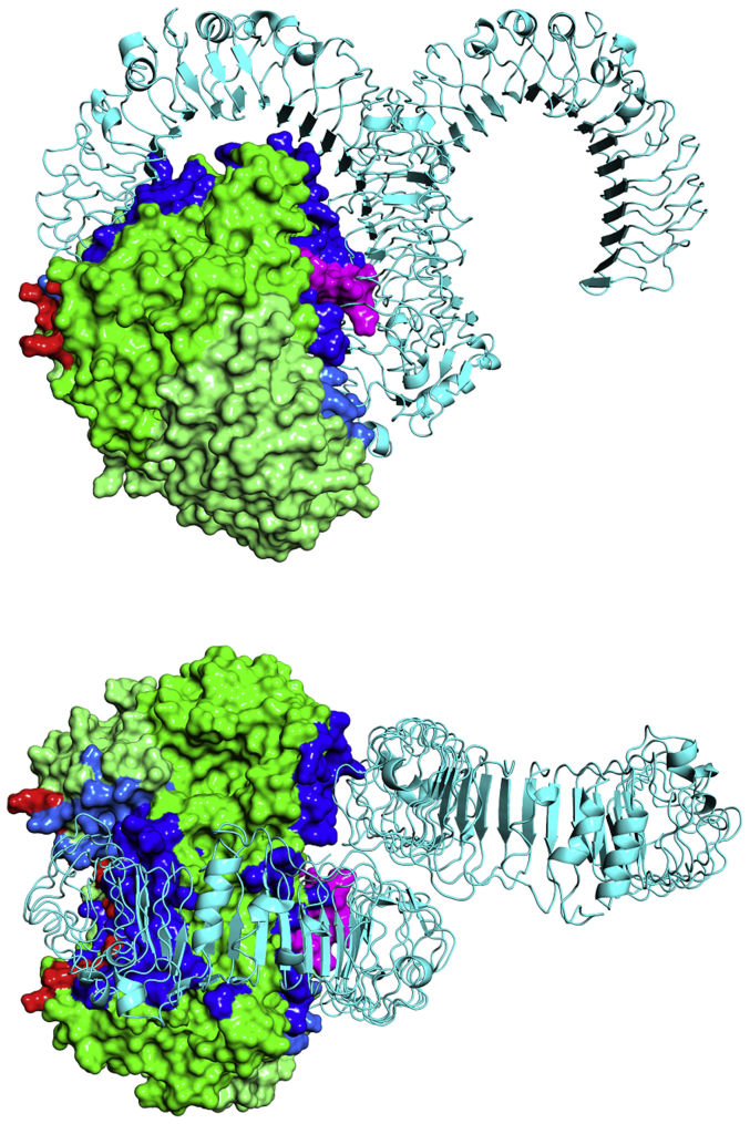 Figure 6