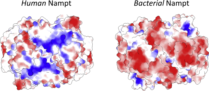 Figure 2