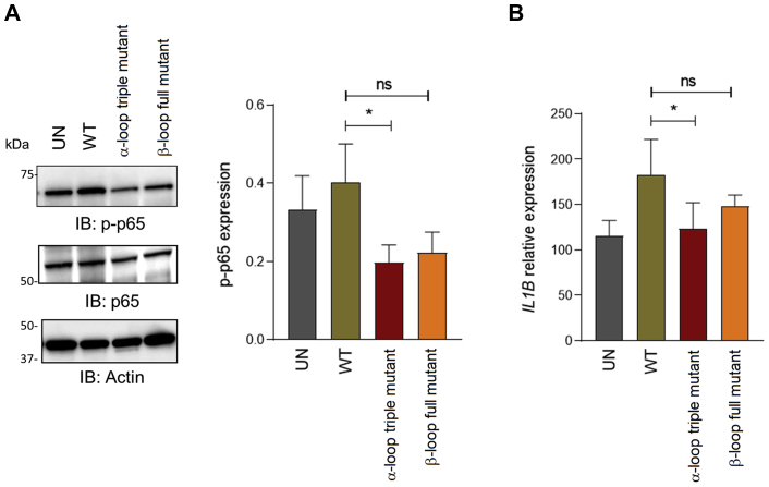 Figure 5