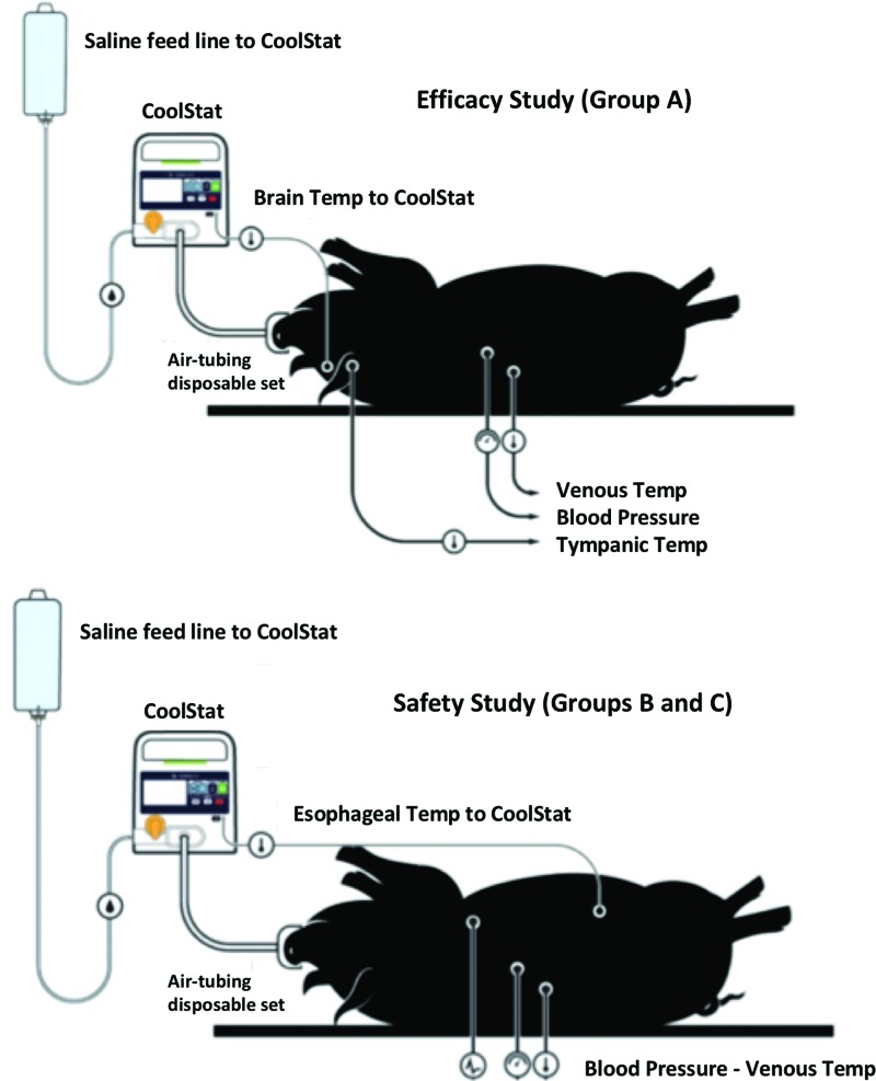 FIG. 2.