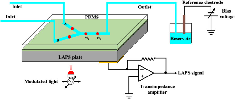 FIGURE 1