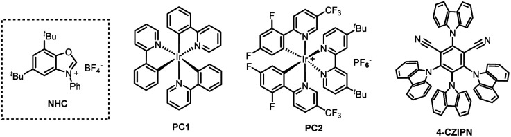 graphic file with name d5ra00158g-u2.jpg