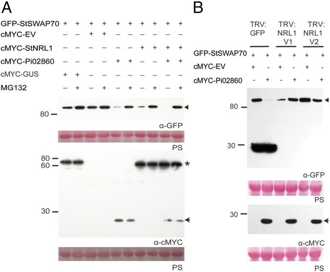 Fig. 3.