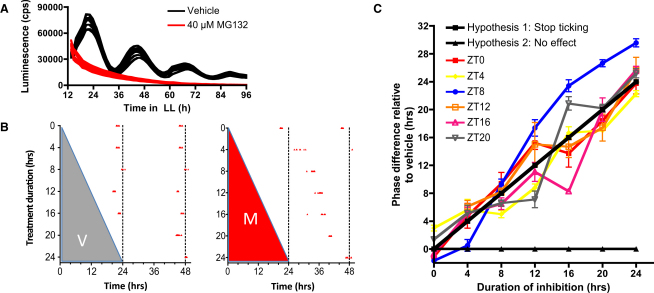 Figure 3