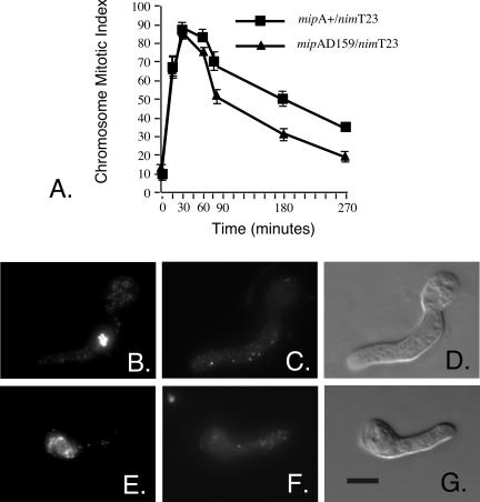 Figure 9.