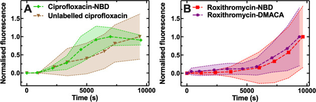 Figure 1—figure supplement 12.