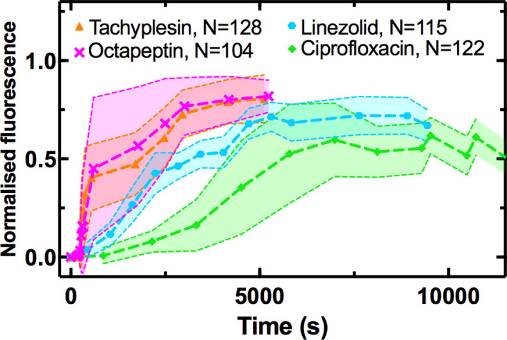 Figure 1—figure supplement 4.