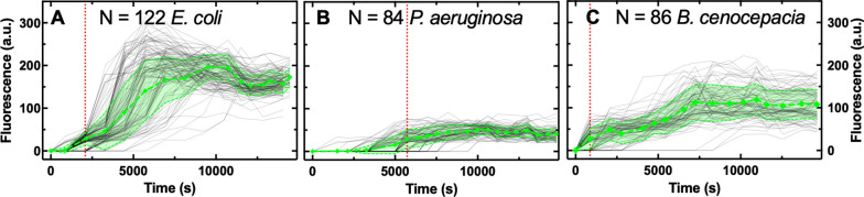 Figure 1—figure supplement 10.