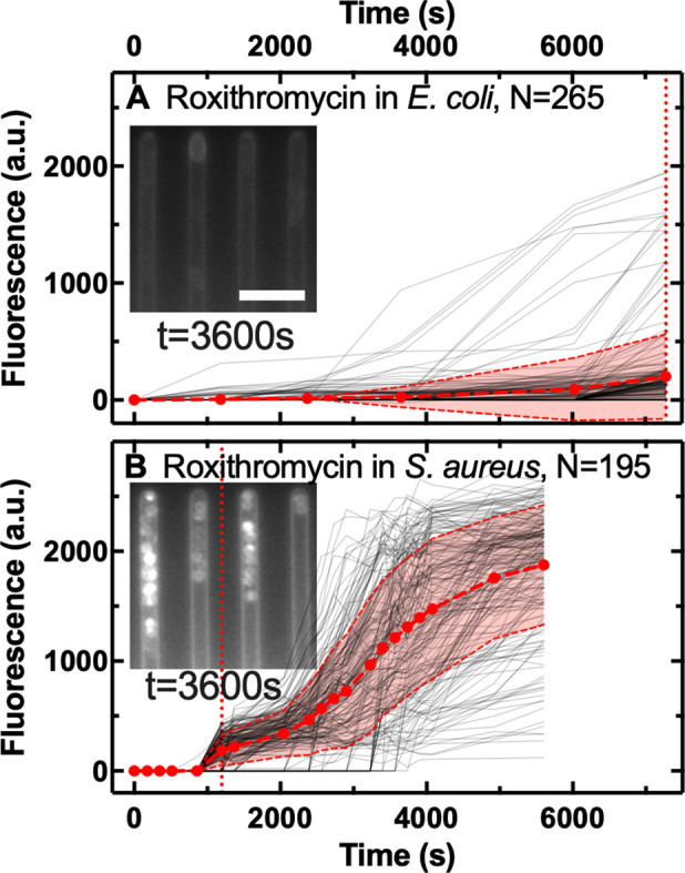 Figure 1—figure supplement 8.