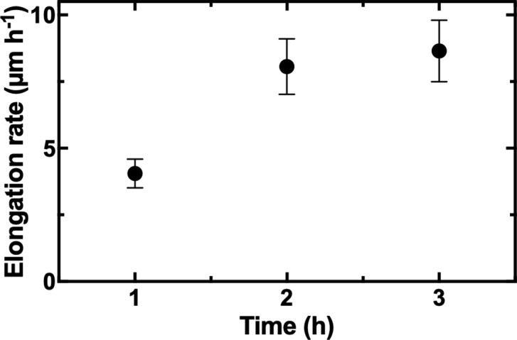 Figure 1—figure supplement 1.