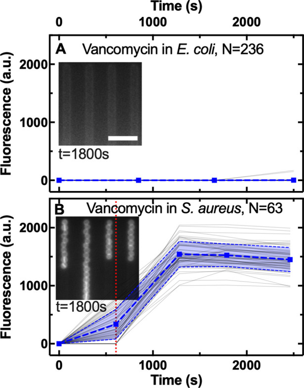 Figure 1—figure supplement 9.