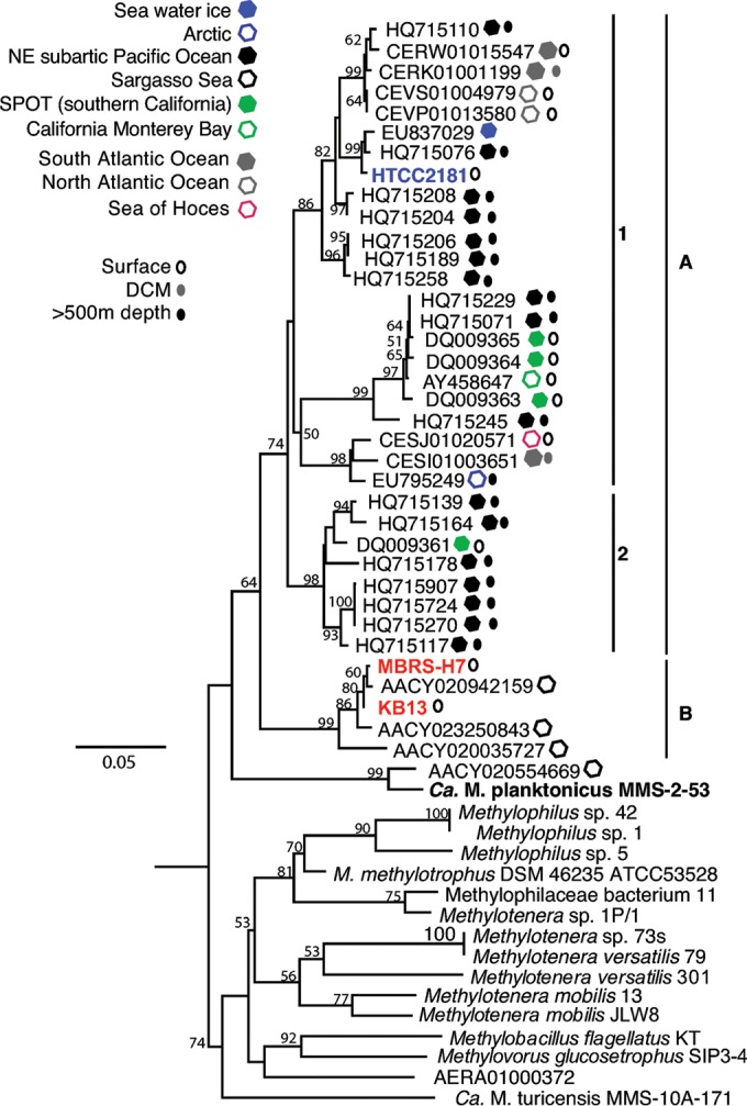 FIG 2