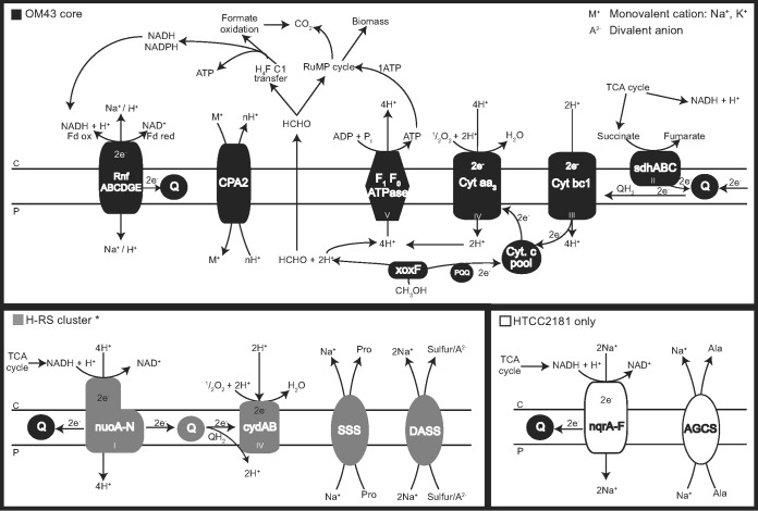 FIG 5