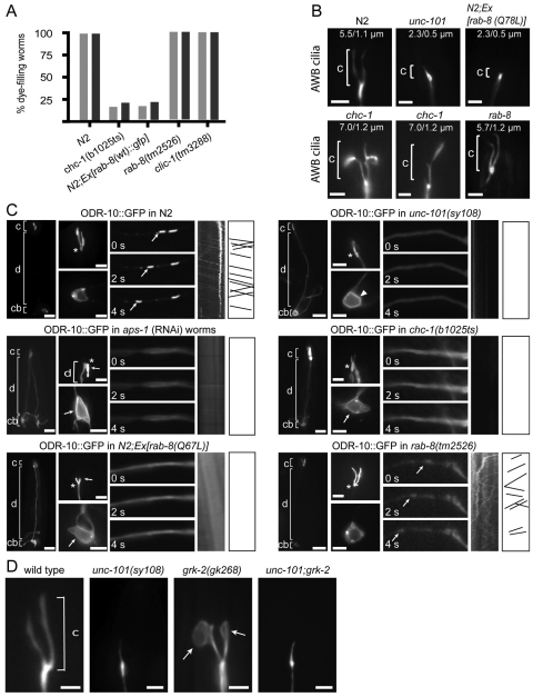 Fig. 5.