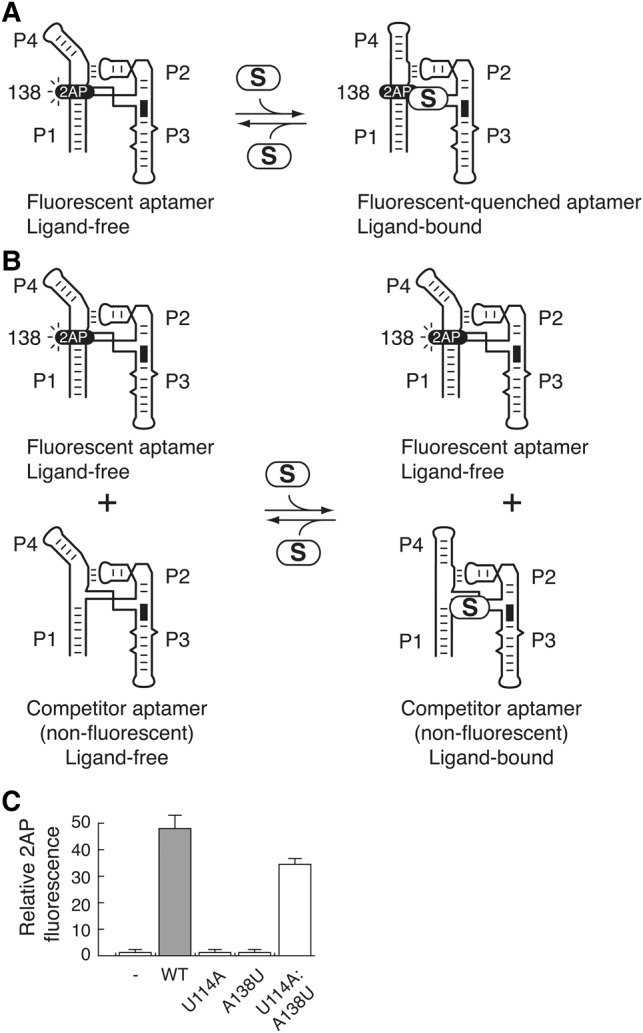 FIGURE 5.