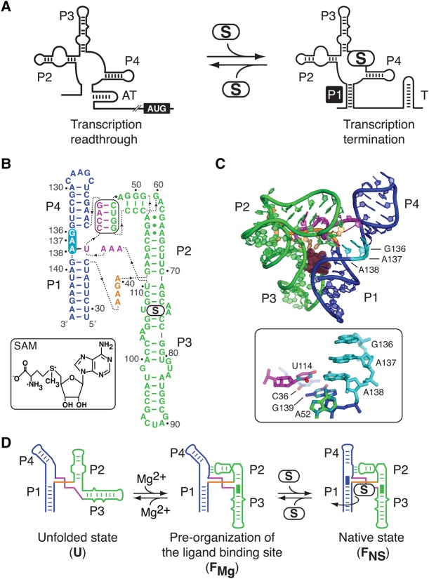 FIGURE 1.