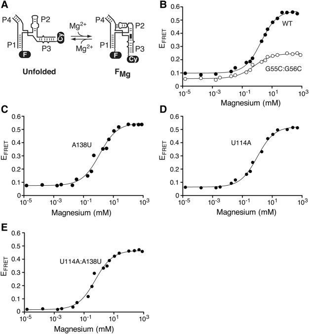 FIGURE 3.