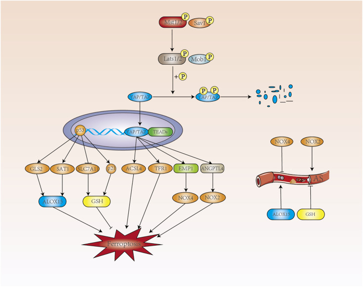 FIGURE 3