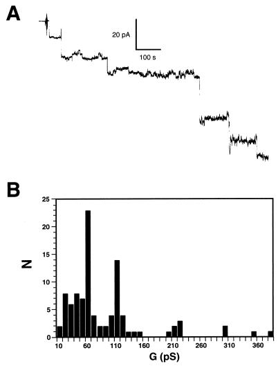 FIG. 1