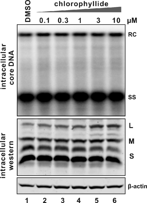 FIG. 3.