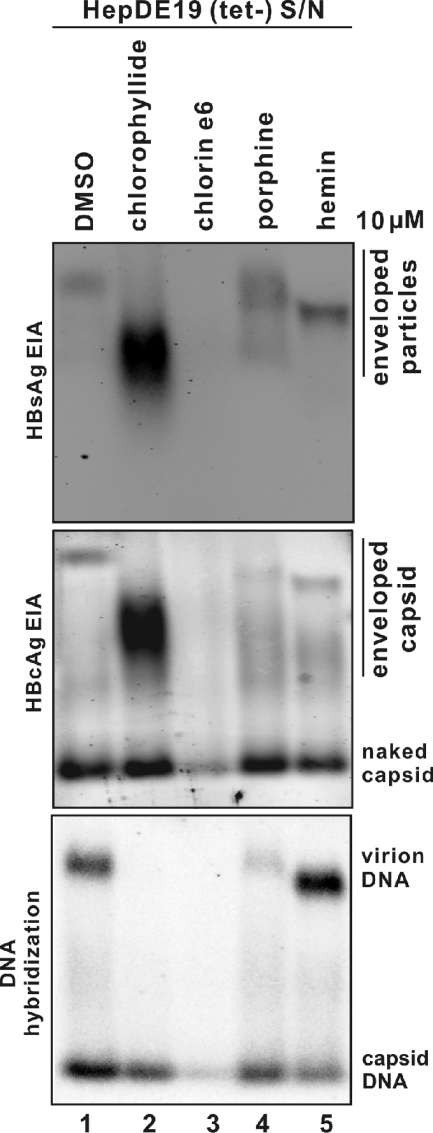 FIG. 5.