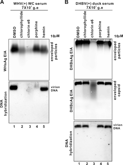 FIG. 6.