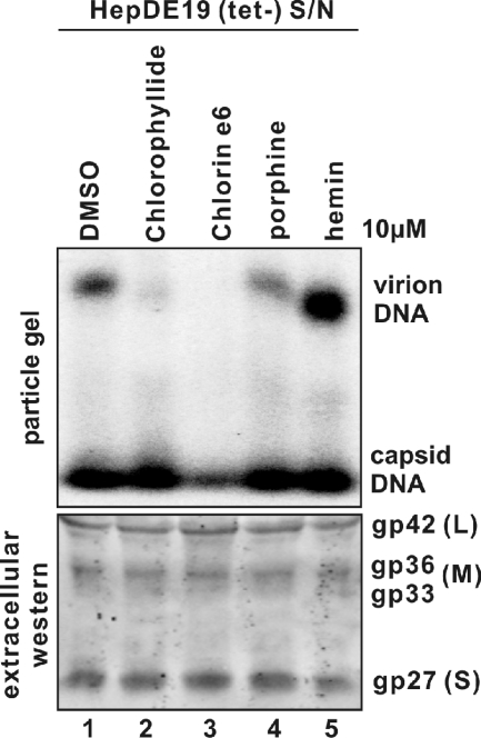 FIG. 7.