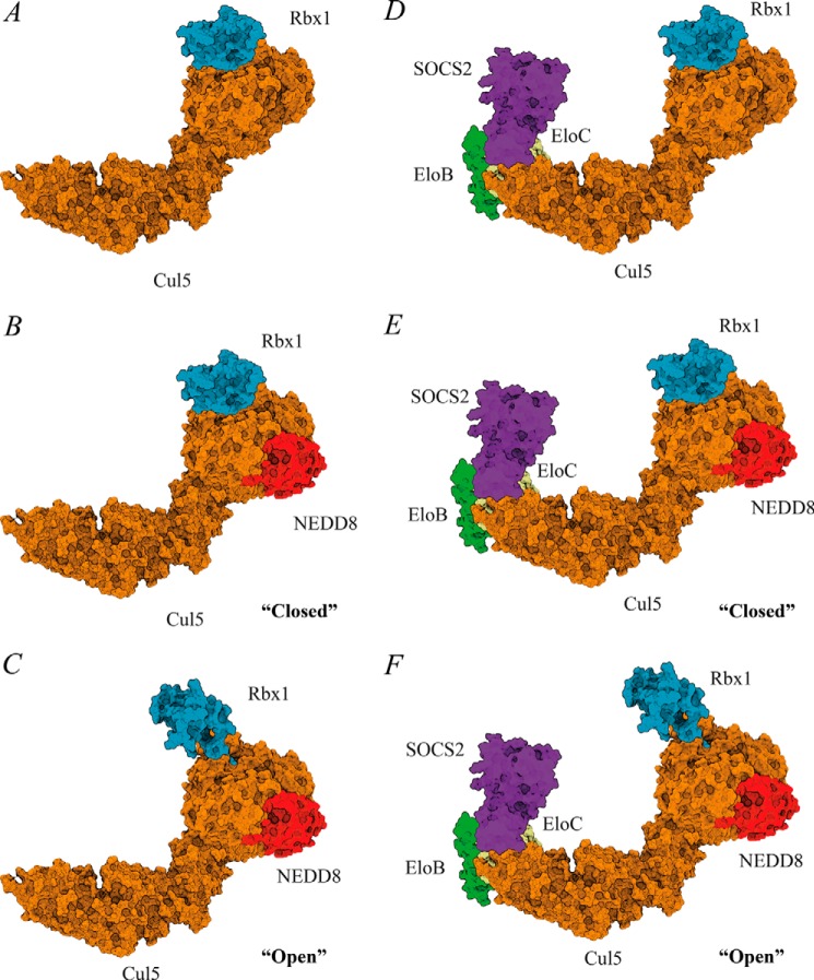 FIGURE 10.