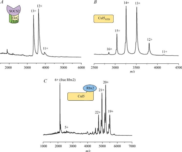 FIGURE 7.